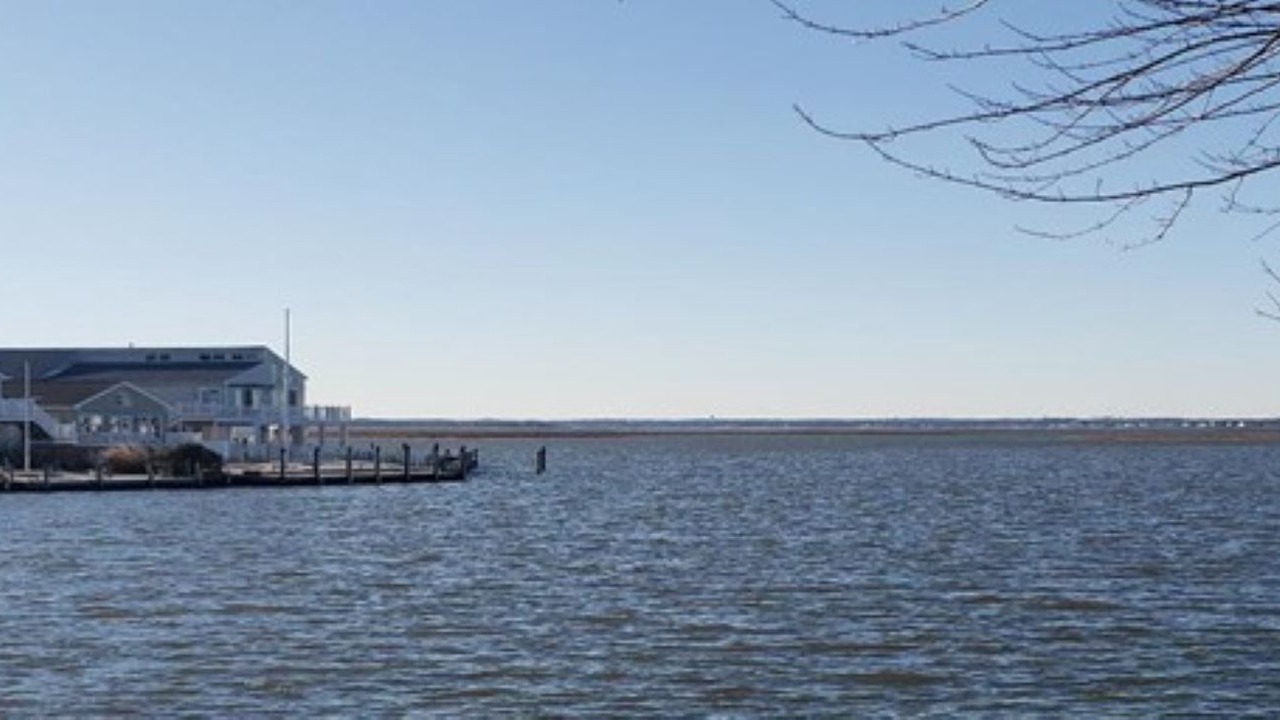 Photo of Others in Dover Beaches North