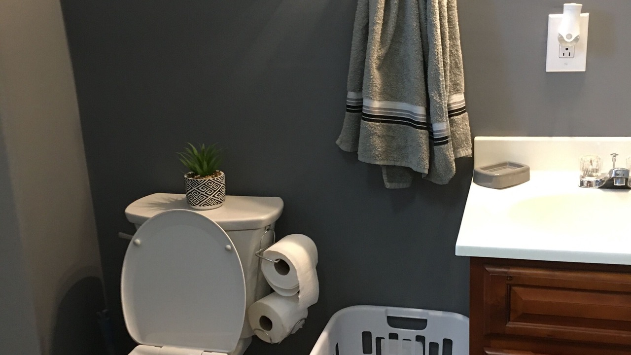 Photo of Bathroom in Newcomb