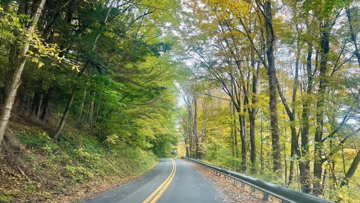 Photo of Others in Lackawaxen