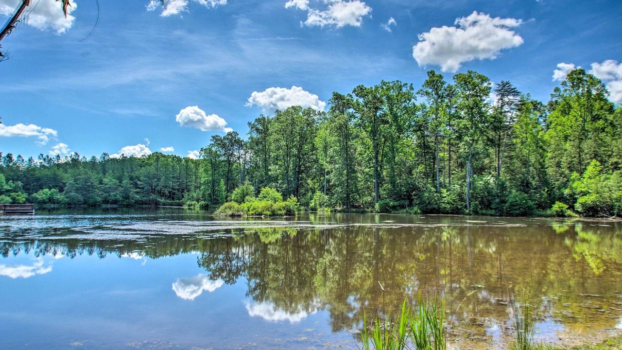 Photo of Outdoor in Ridge