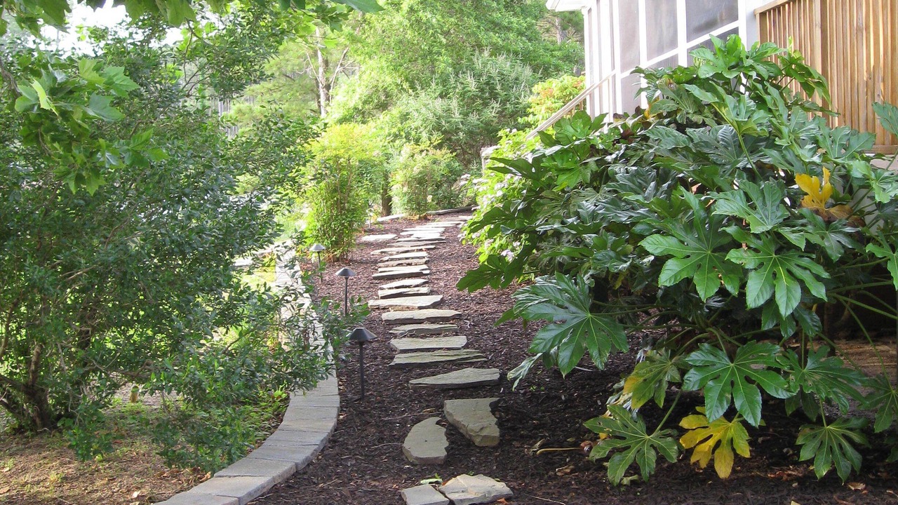 Photo of Outdoor in Onancock