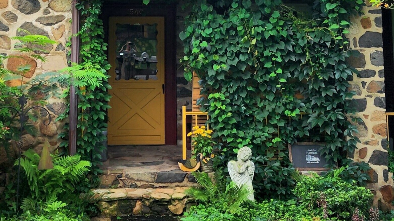 Photo of Outdoor in Limekiln