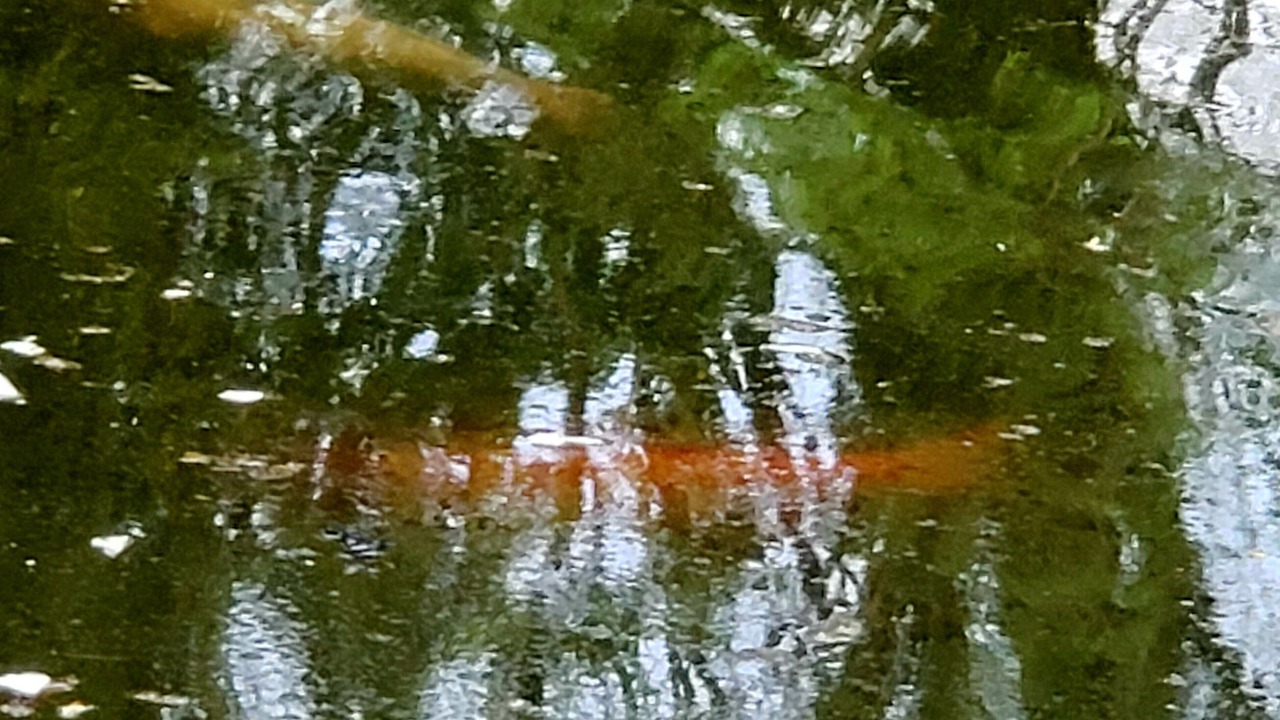 Photo of Outdoor in Limekiln