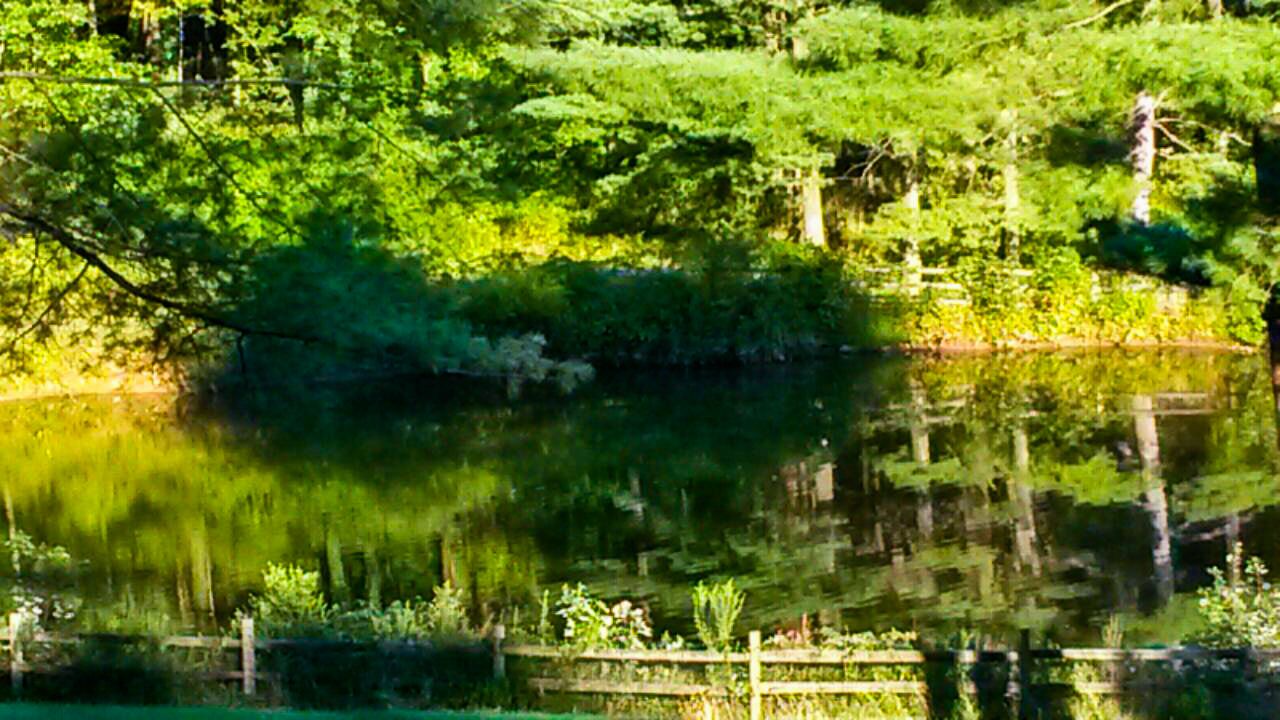 Photo of Outdoor in Limekiln