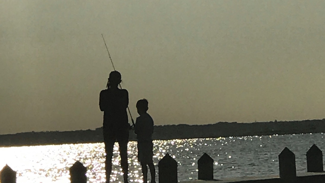 Photo of Others in Dover Beaches North