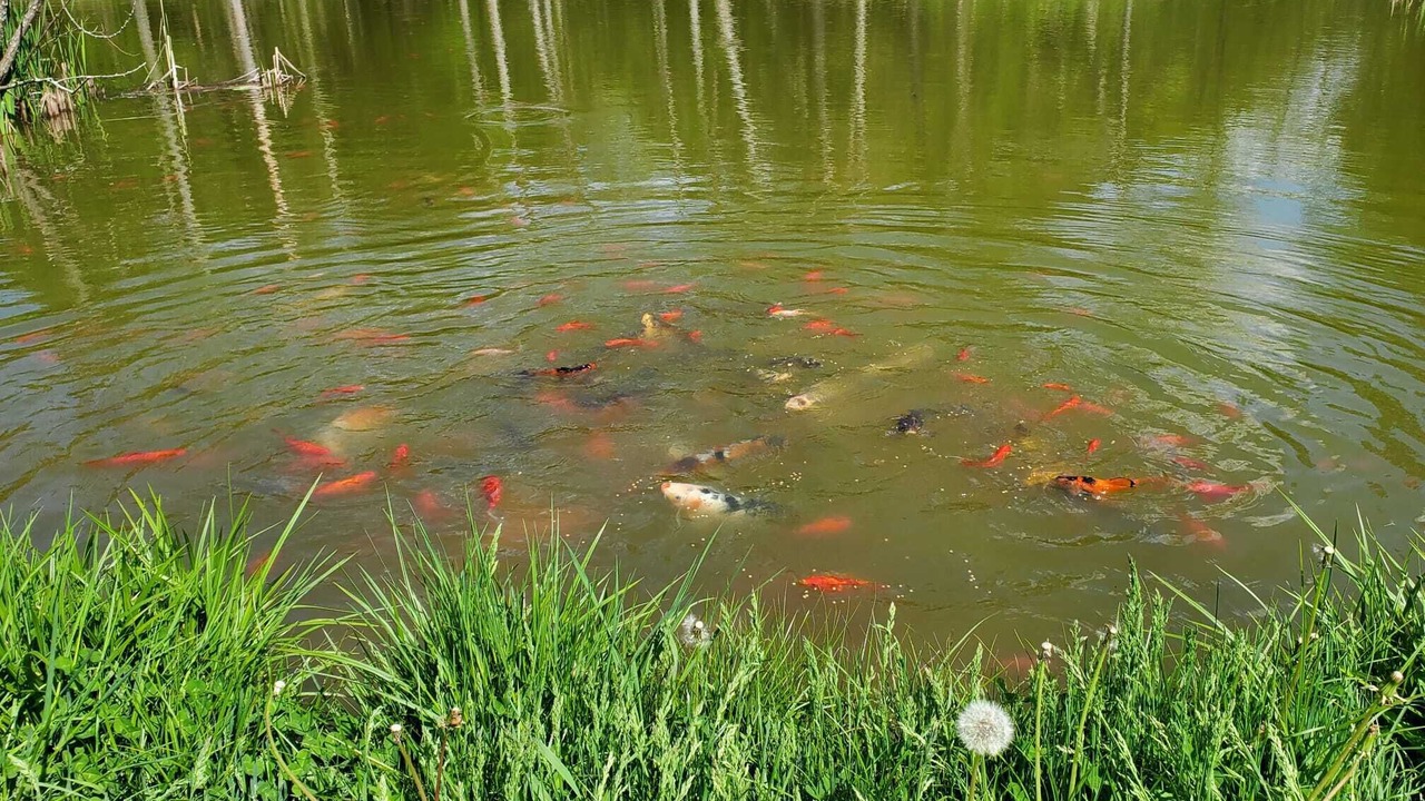 Photo of Outdoor in Monticello