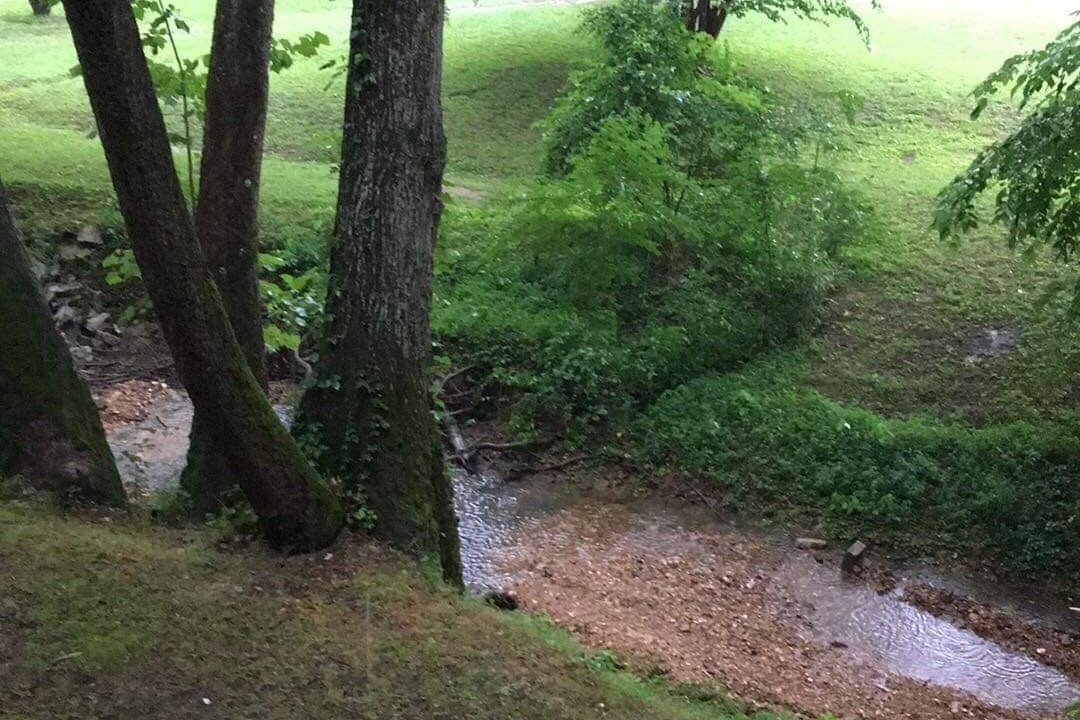 Photo of Outdoor in Olivehill