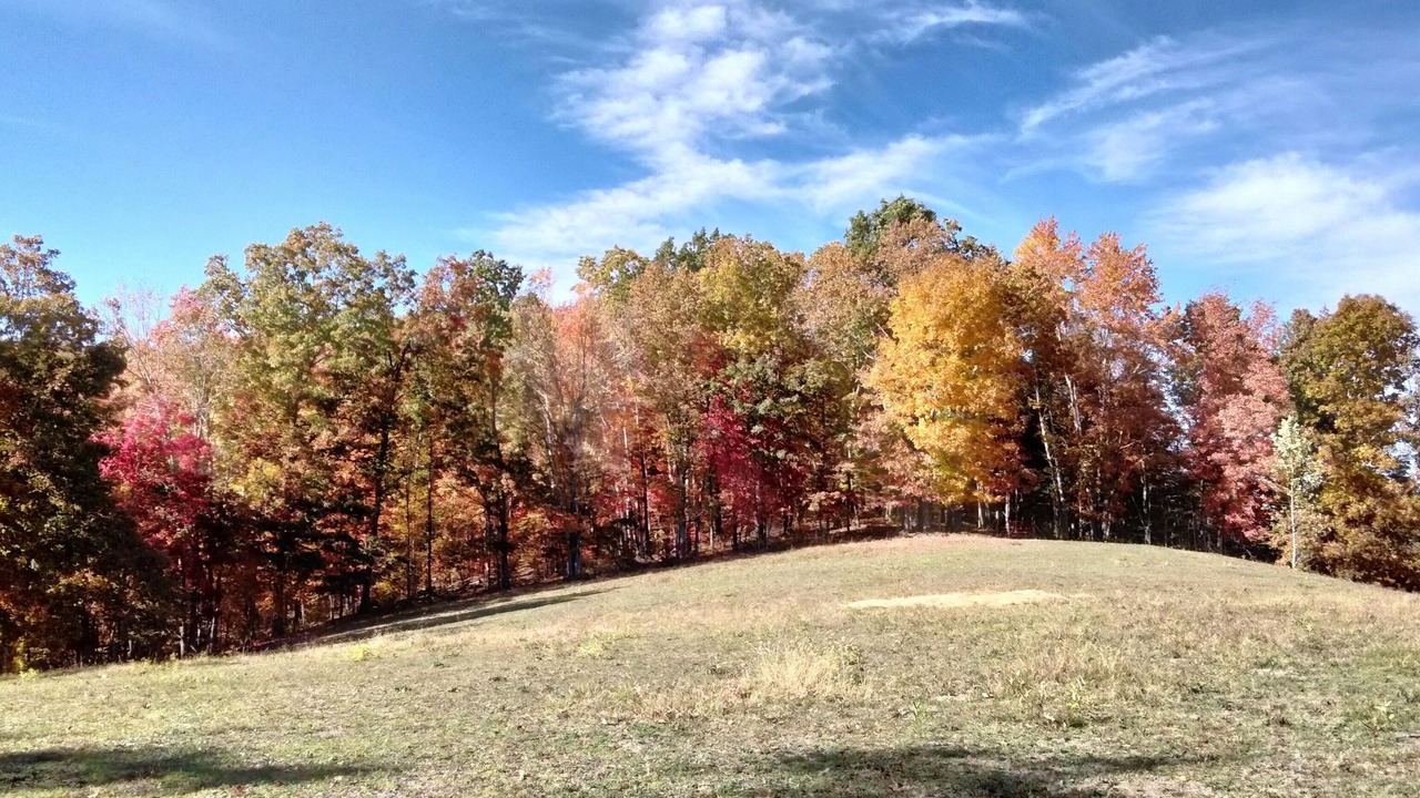 Photo of Outdoor in Olive Hill