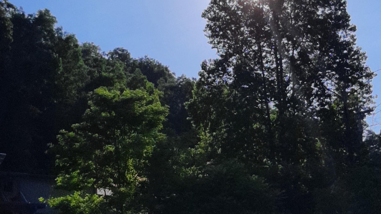 Photo of Outdoor in Slade
