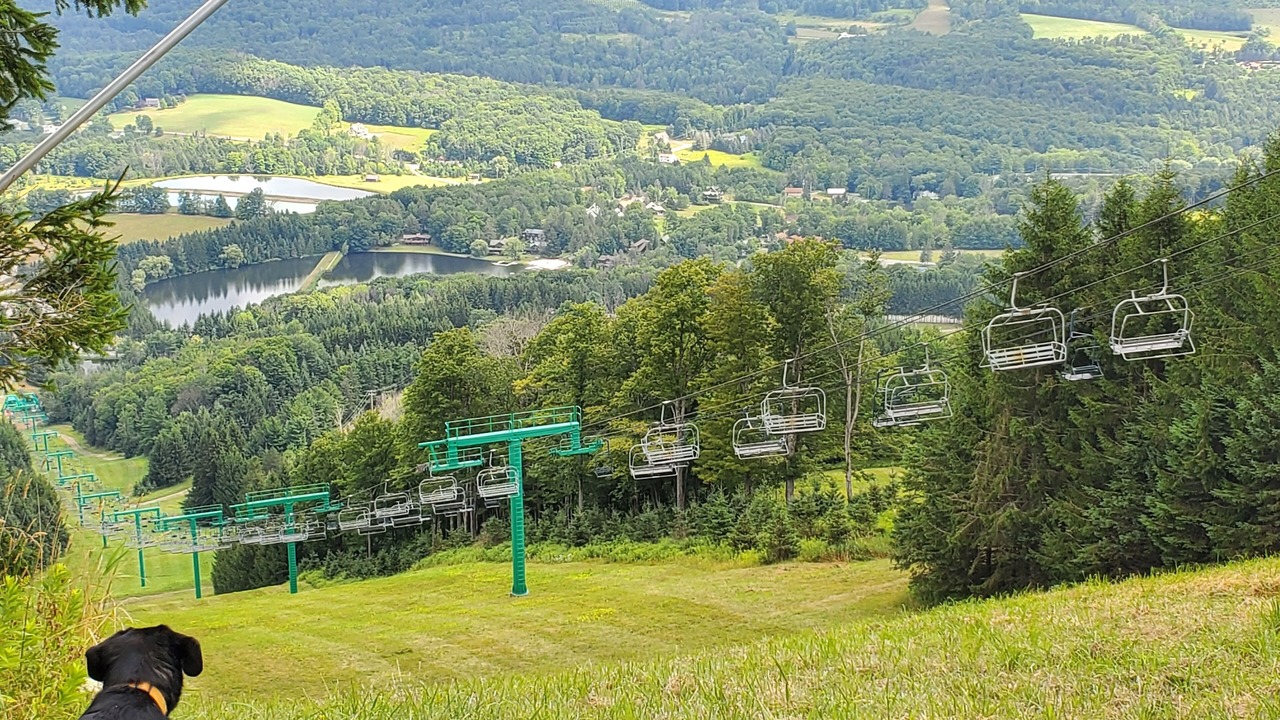 Photo of Others in Union Dale