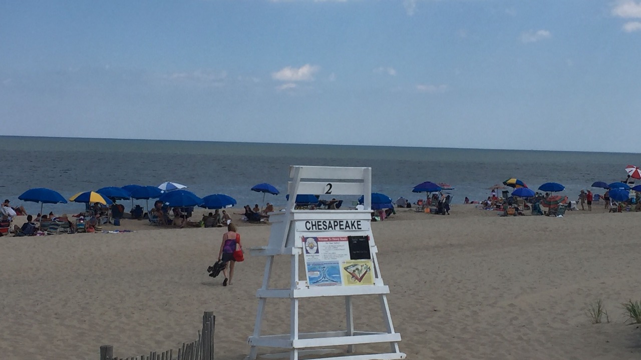 Photo of Others in Rehoboth by the Sea