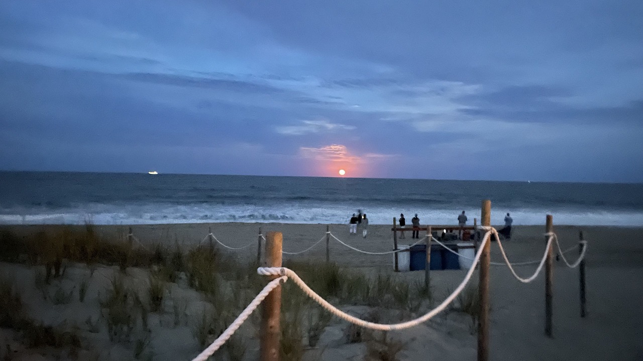 Photo of Others in Rehoboth by the Sea