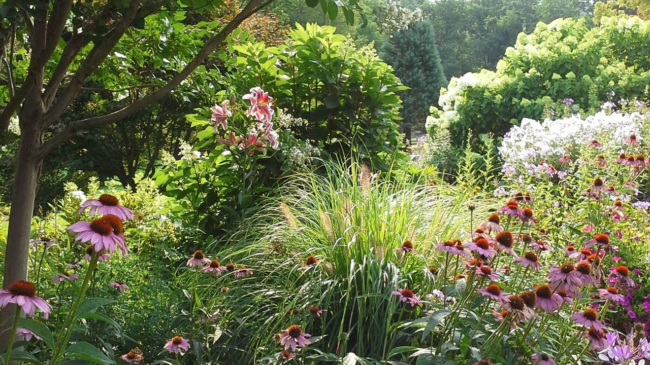Photo of Outdoor in Middletown