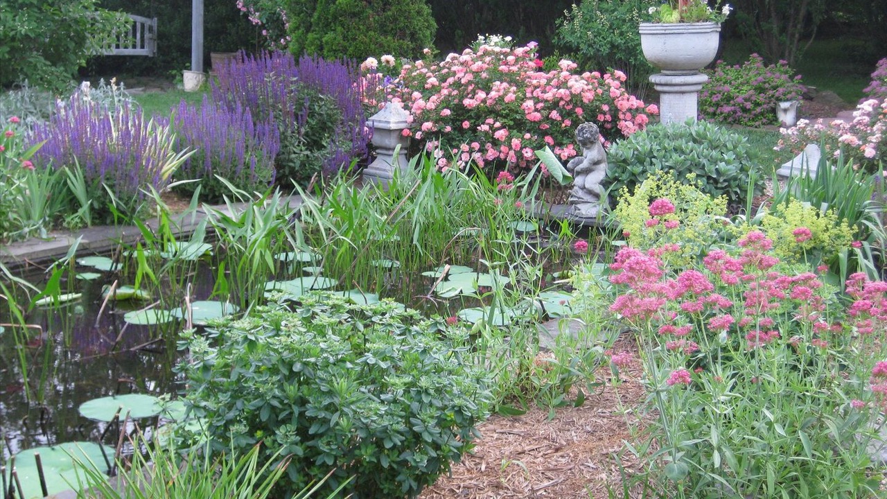 Photo of Outdoor in Middletown