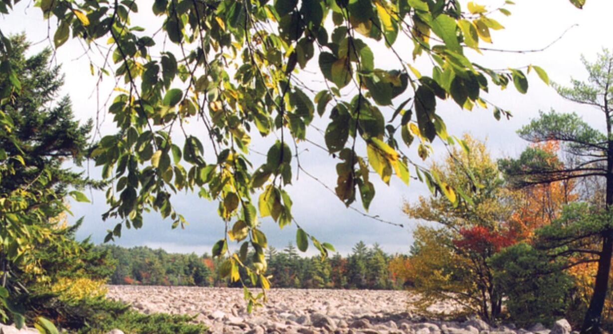 Photo of Others in Locust Lake Village