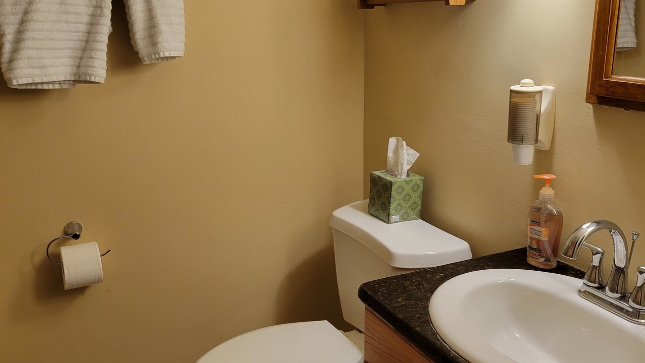 Photo of Bathroom in Palmyra
