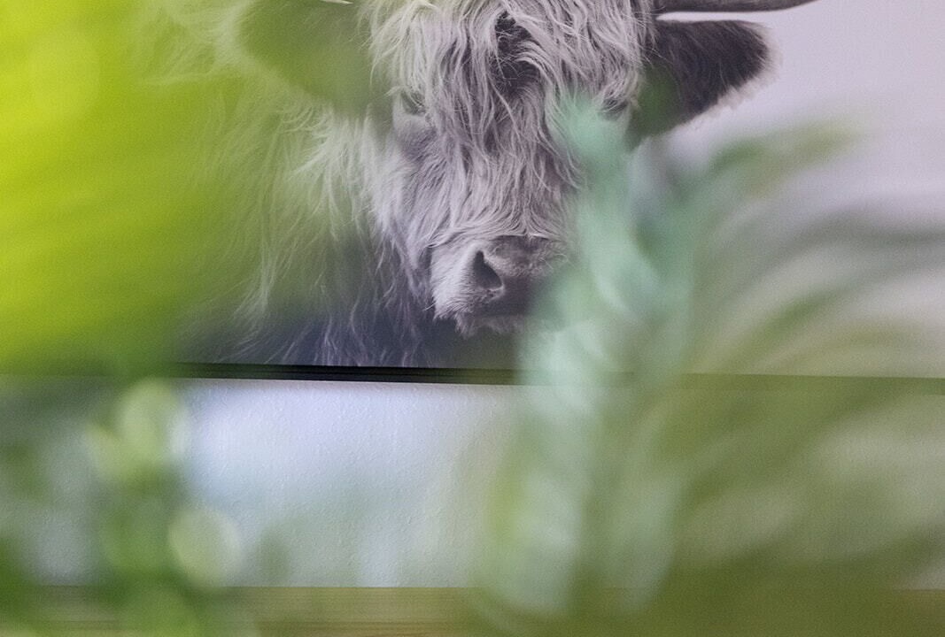 Photo of Others in Cascade