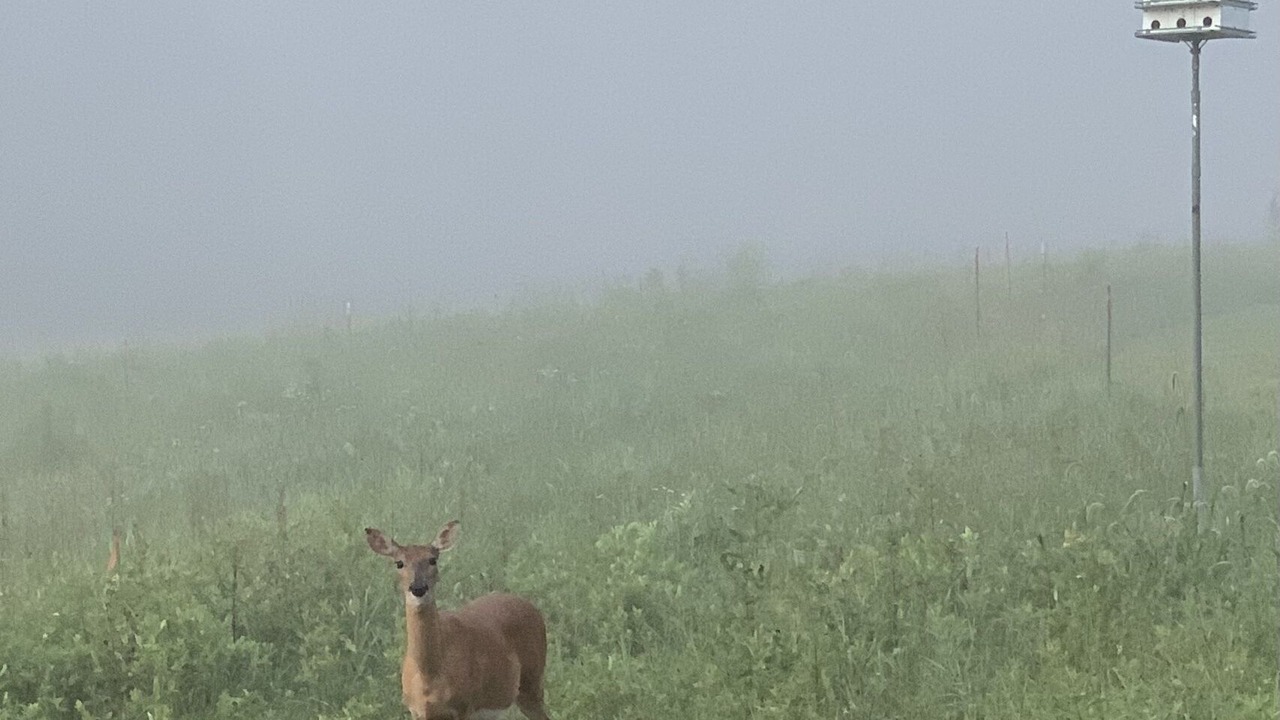 Photo of Outdoor in Elliottsburg