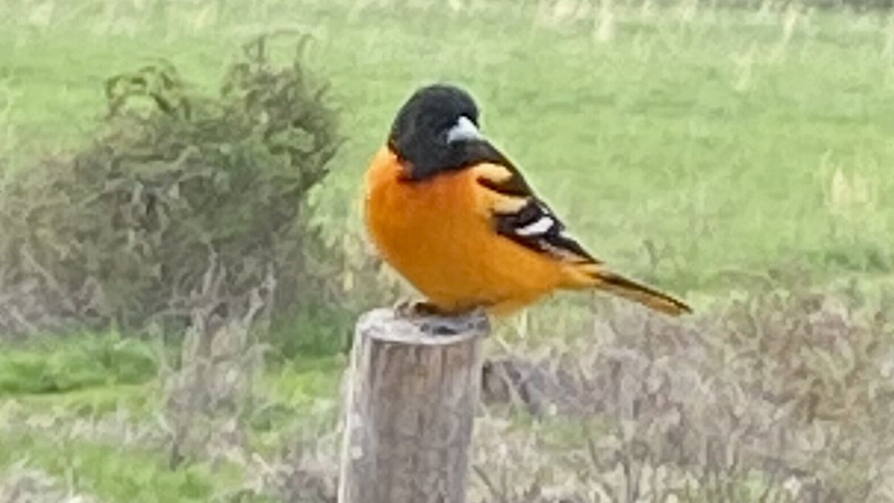 Photo of Outdoor in Elliottsburg