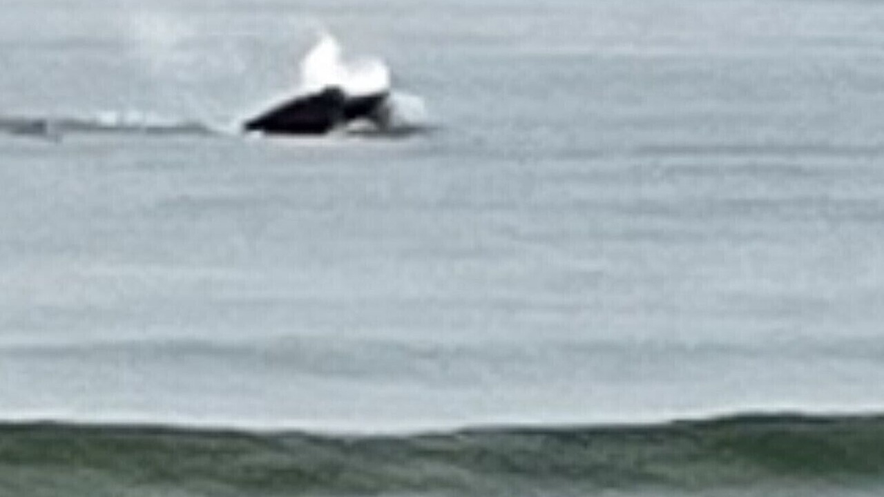 Photo of Others in South Seaside Park