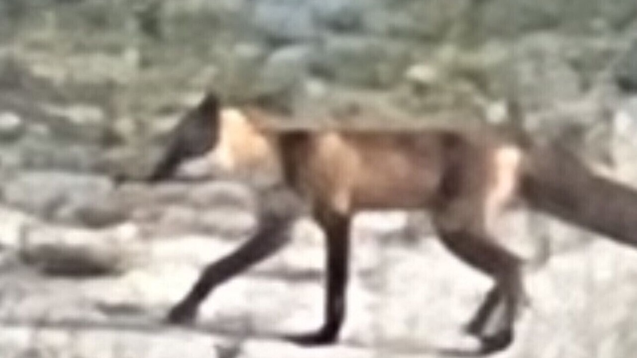 Photo of Others in South Seaside Park