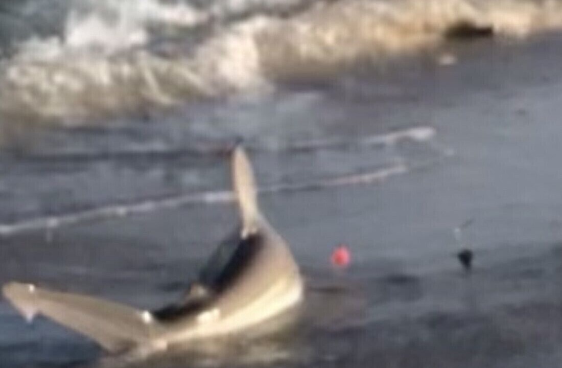 Photo of Others in South Seaside Park