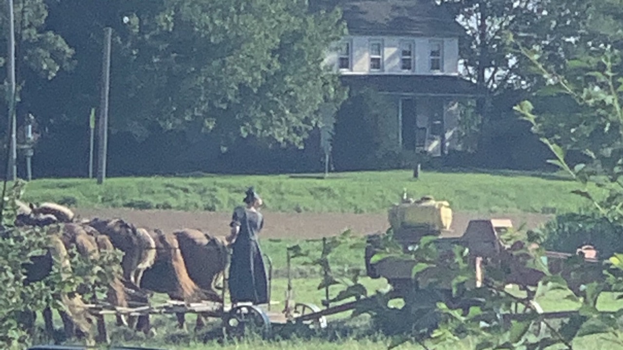 Photo of Others in Leola
