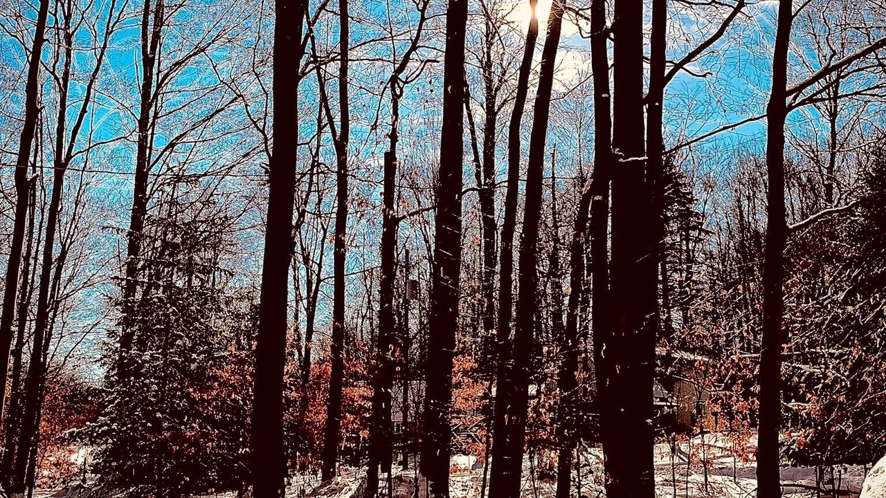 Photo of Others in Pocono Lake