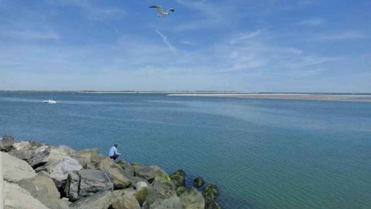 Photo of Others in North Wildwood