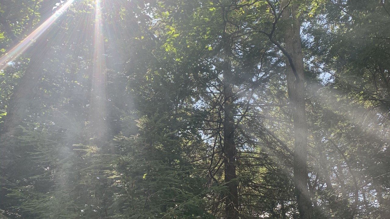 Photo of Outdoor in Carbondale
