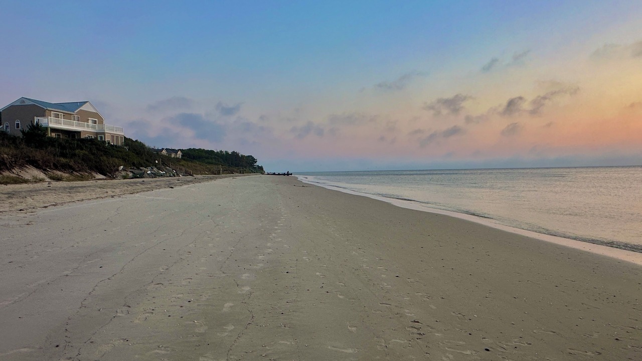 Photo of Others in North Cape May