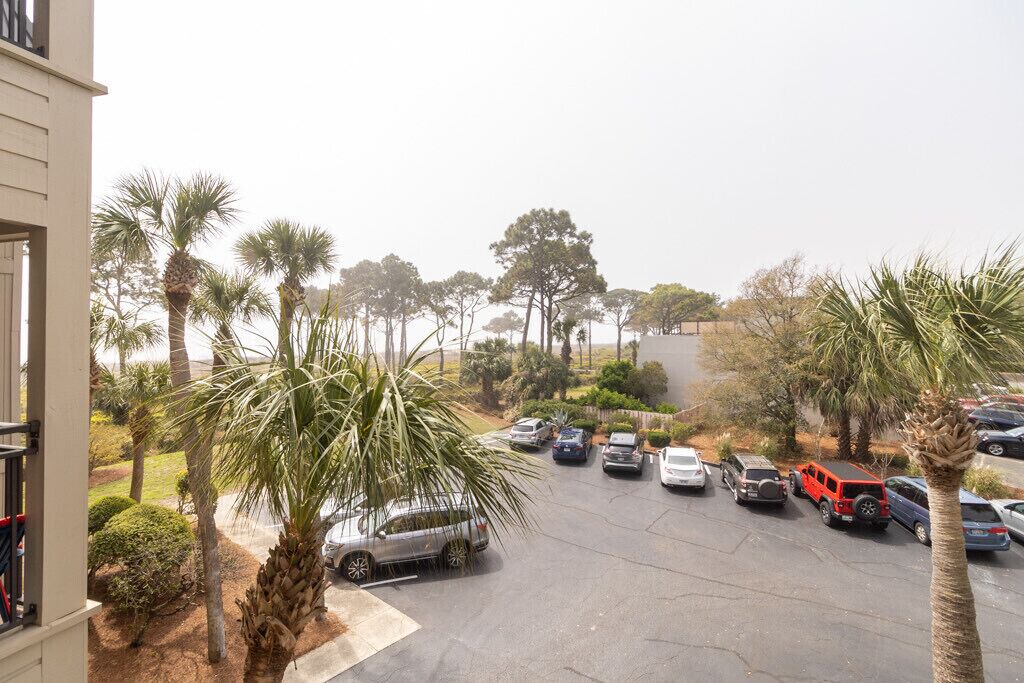 Photo of Outdoor in Hilton Head Island