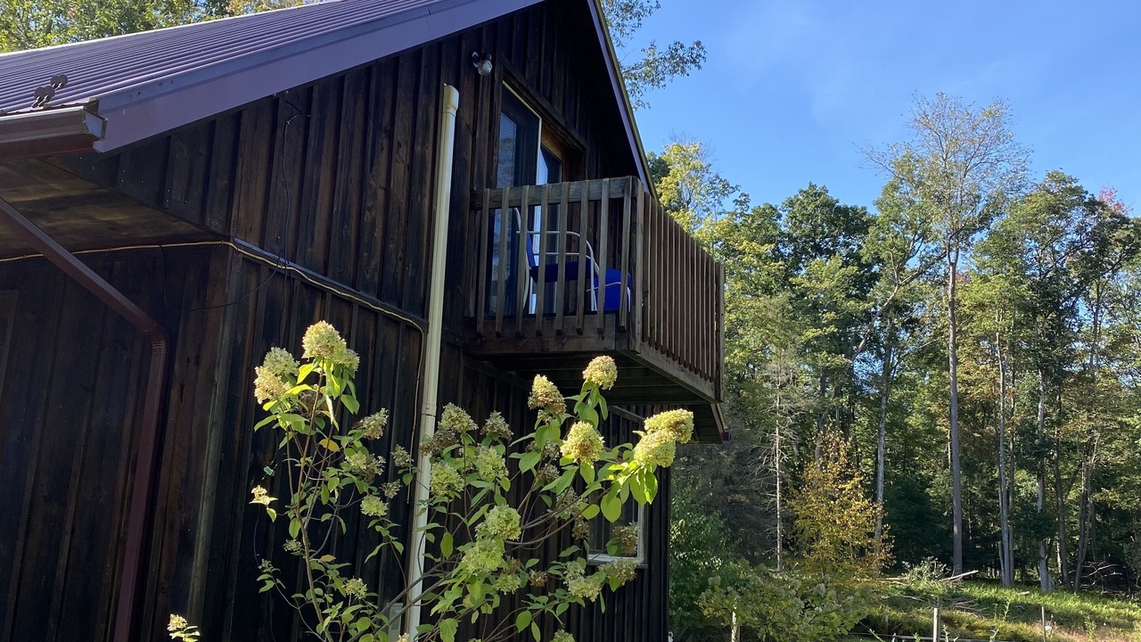 Photo of Outdoor in Spring Mills