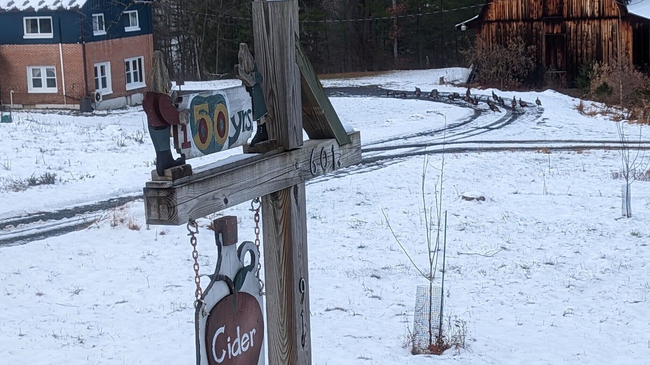 Photo of Outdoor in Spring Mills