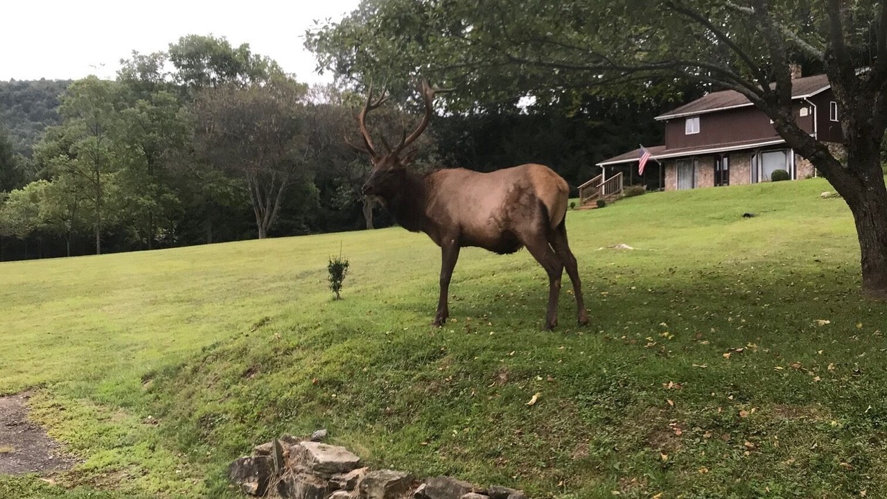 Photo of Outdoor in Force
