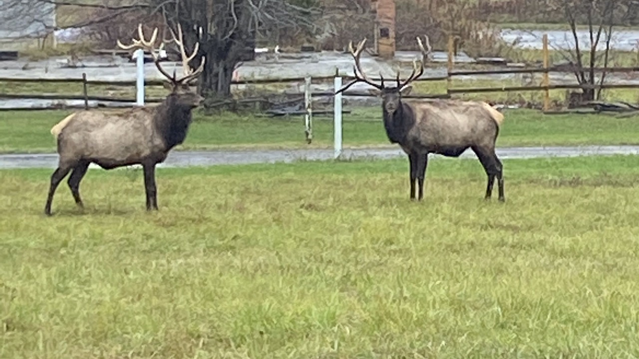 Photo of Outdoor in Force