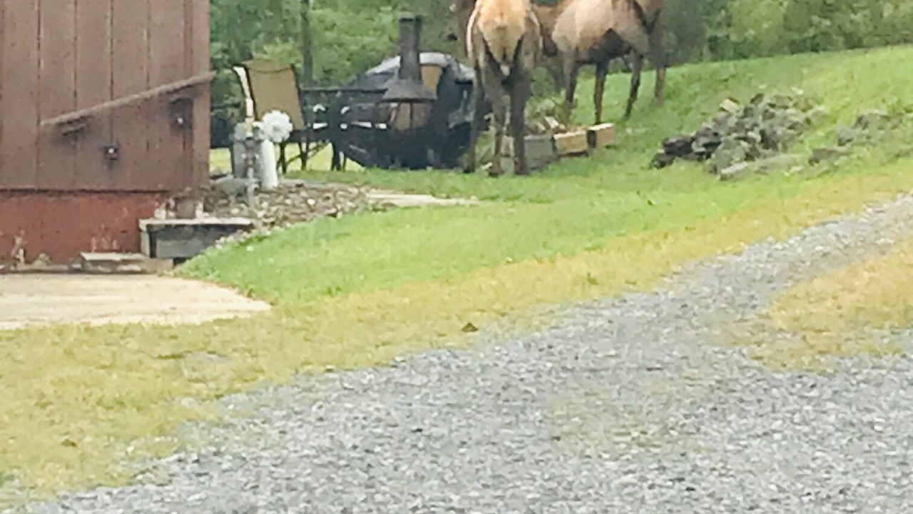 Photo of Outdoor in Force