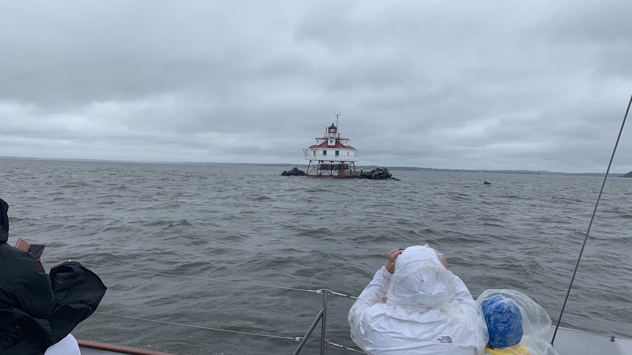Photo of Others in Arundel on the Bay