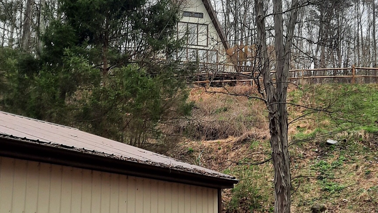 Photo of Outdoor in James Creek