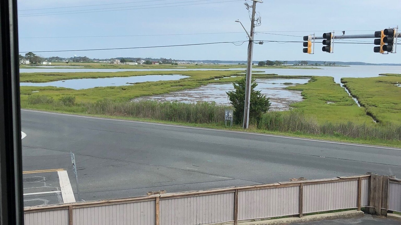 Photo of Others in Fenwick Island