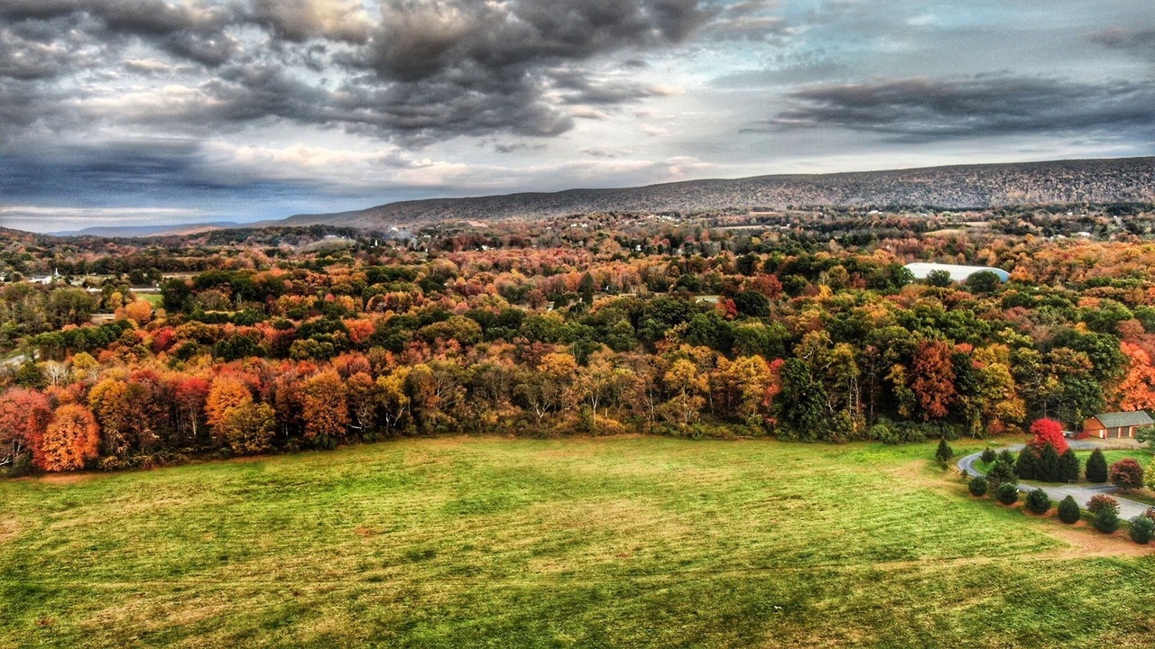 Photo of Outdoor in Saylorsburg