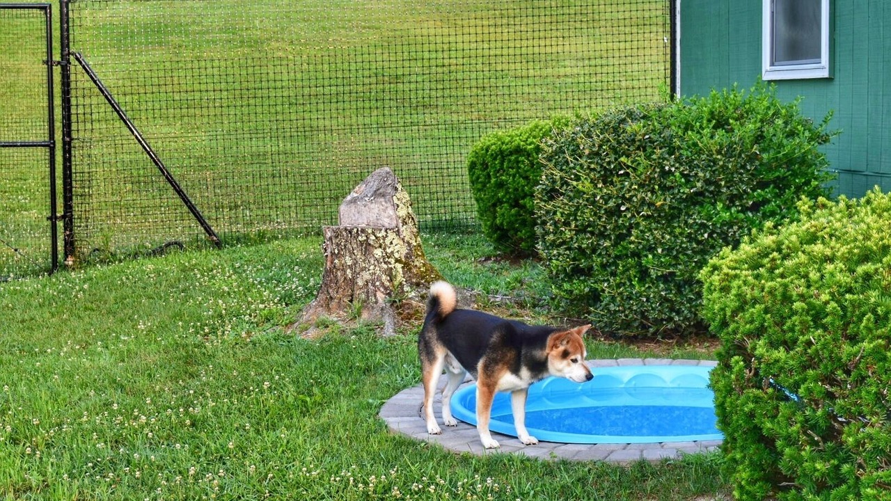 Photo of Outdoor in Saylorsburg