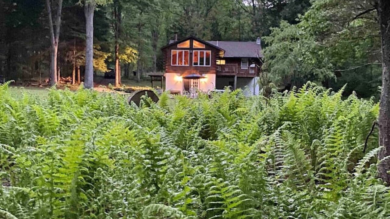 Photo of Others in Farmington
