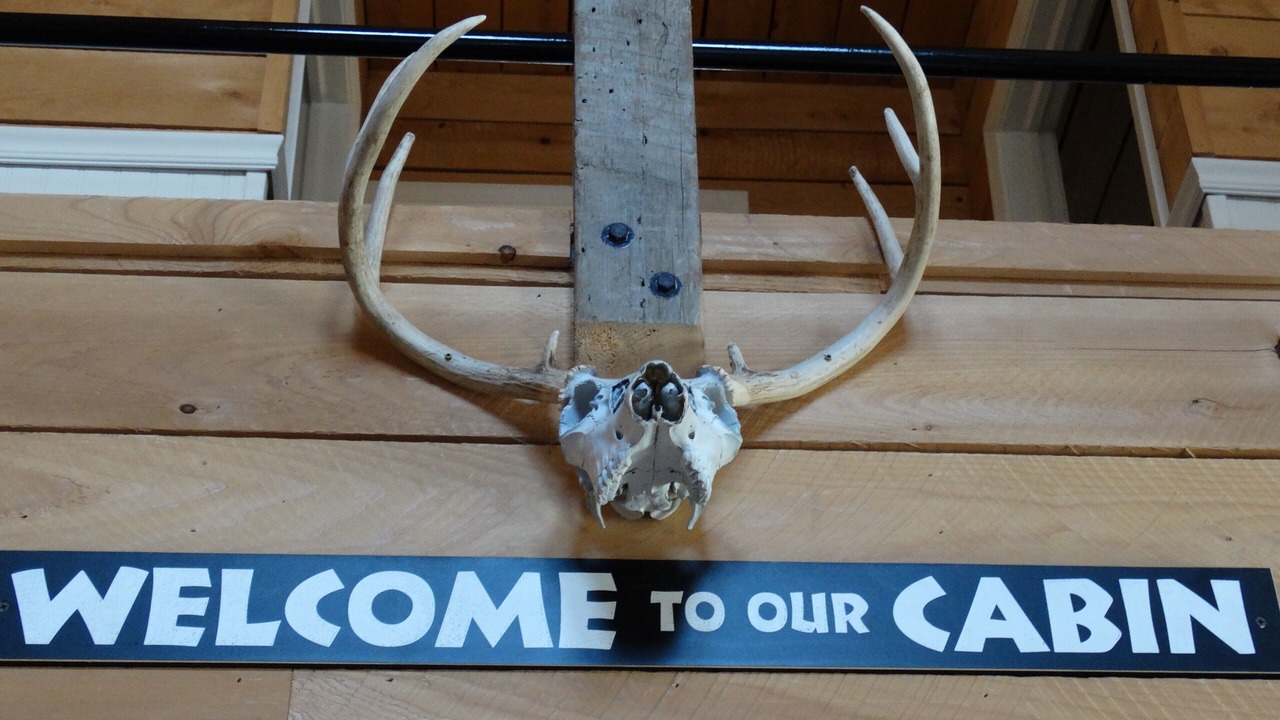 Photo of Outdoor in Millerton