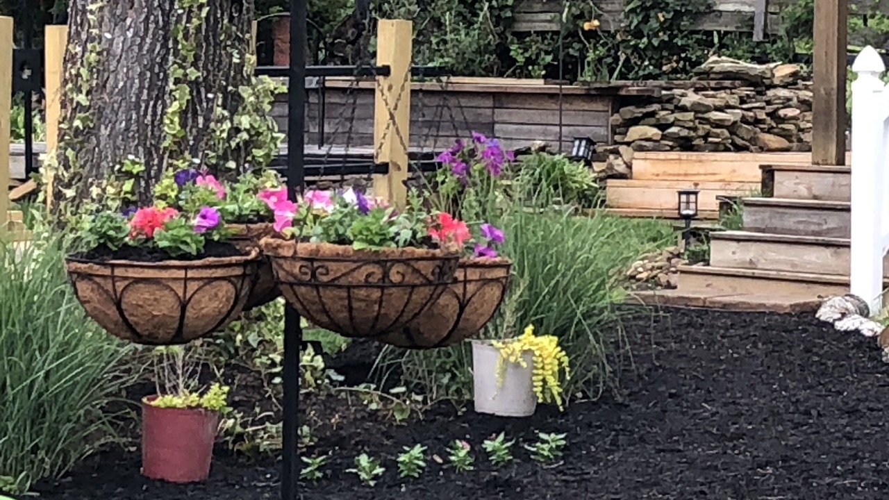 Photo of Outdoor in Jacksboro