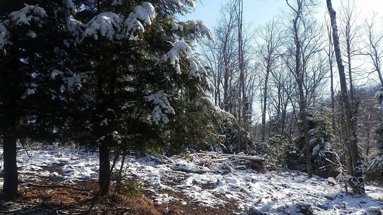 Photo of Outdoor in French Creek