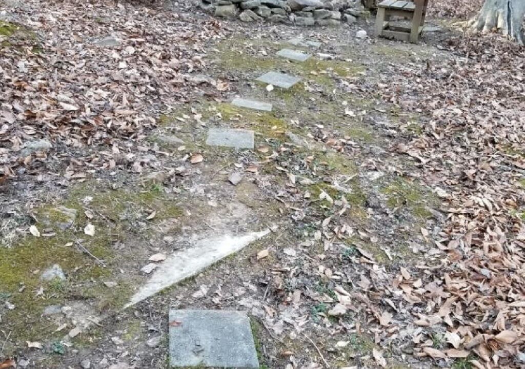 Photo of Outdoor in Mount Nebo