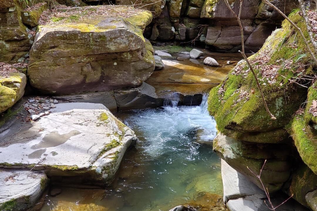 Photo of Others in Long Eddy