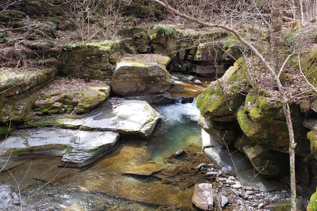 Photo of Others in Long Eddy