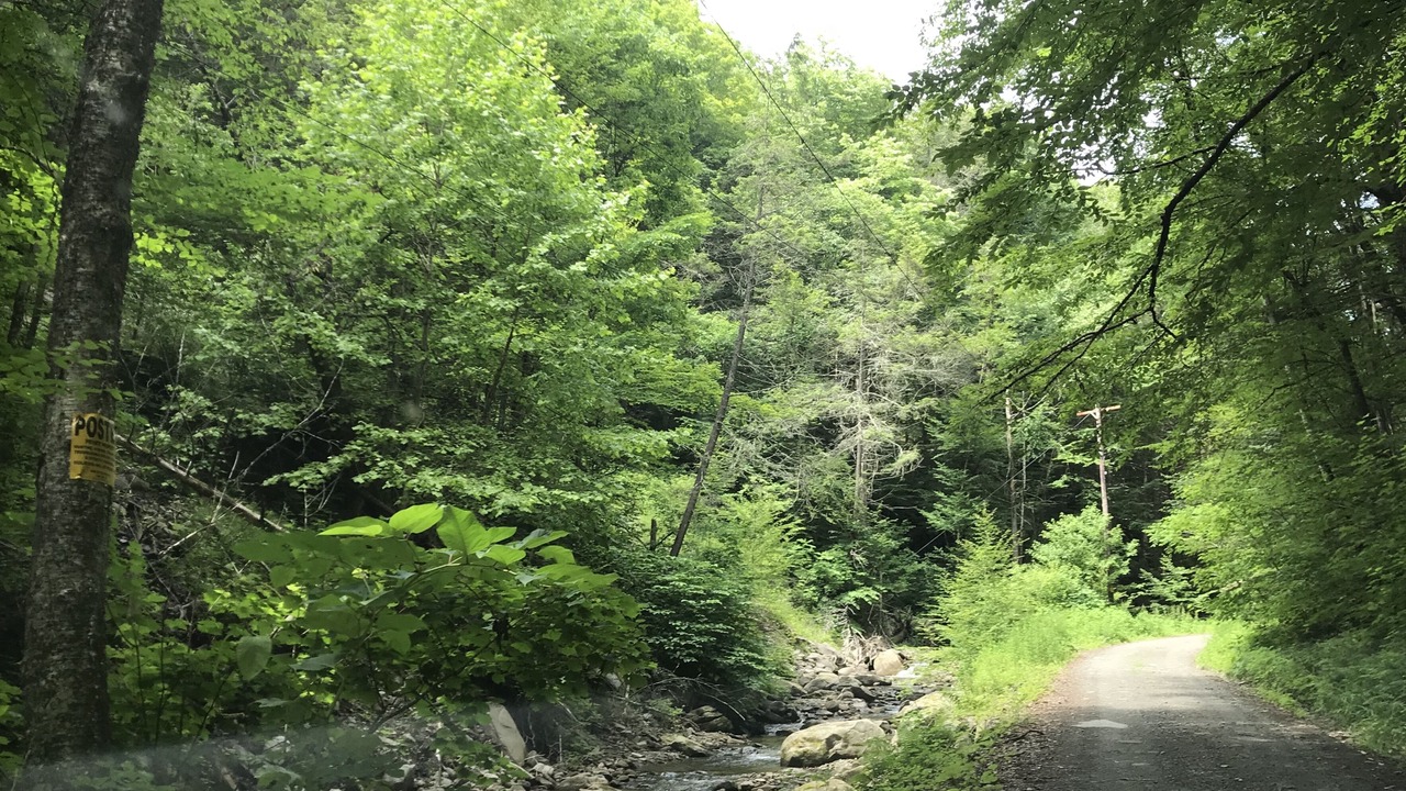 Photo of Others in Long Eddy